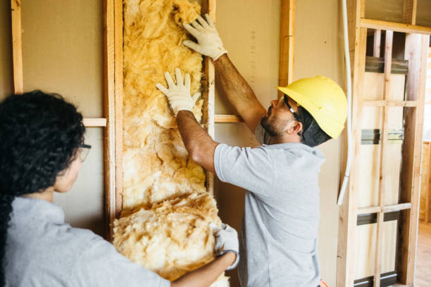 Best Cellulose Insulation  in Grosse Pointe Farms, MI